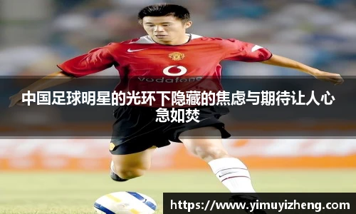 智博19有限公司